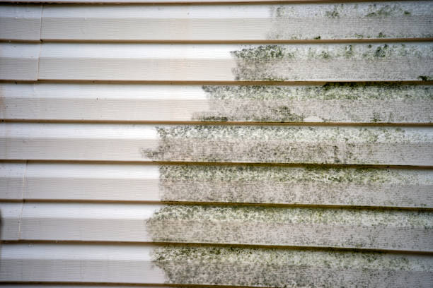 Best Attic Cleanout  in Benton Harbor, MI
