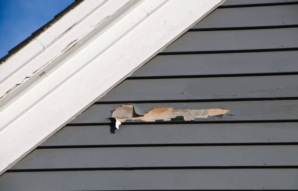 Best Demolition Debris Removal  in Benton Harbor, MI